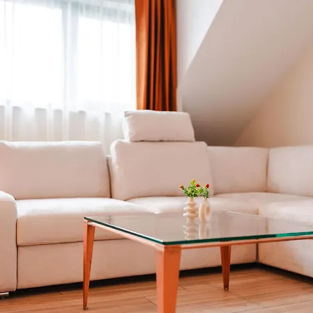 Apartment Cometei *