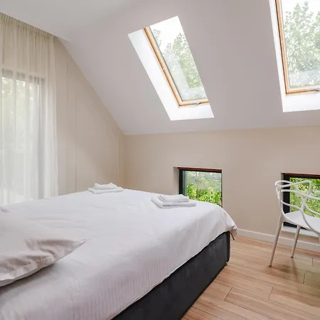 Apartment Cometei *