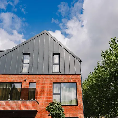 Cometei * Kluż-Napoka