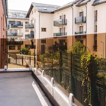 Cometei * Cluj-Napoca