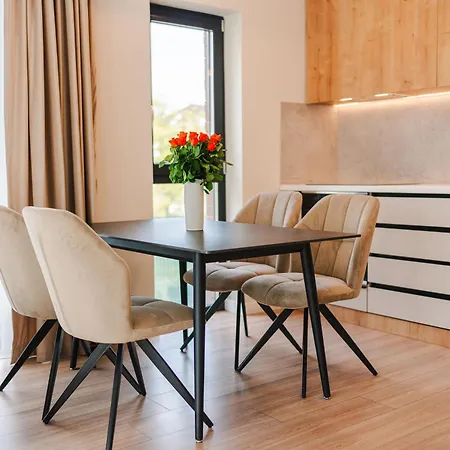 Cometei Apartment