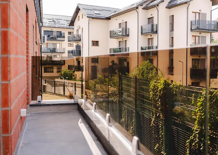 Cometei * Cluj-Napoca