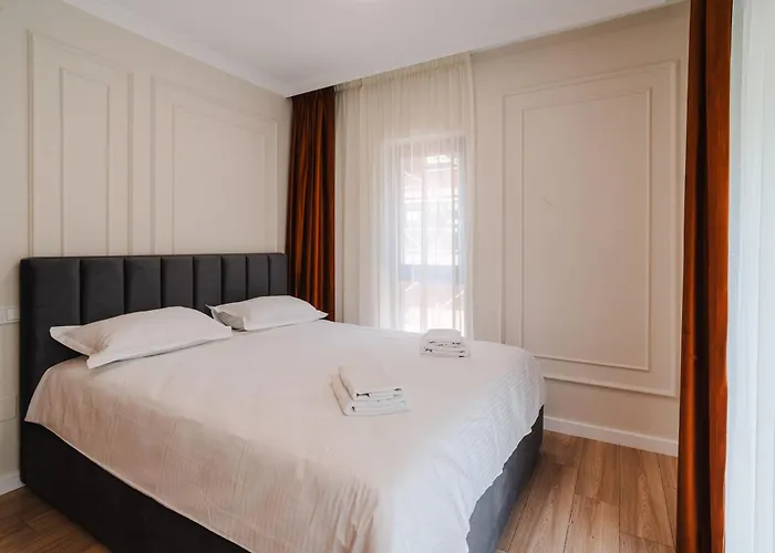 Cometei 클루지나포카