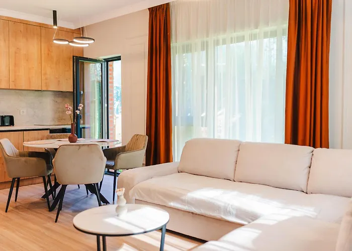 Cometei 클루지나포카